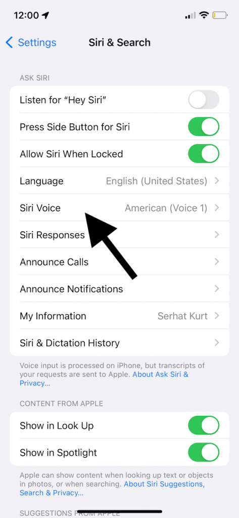 how-to-change-the-apple-maps-voice-macreports