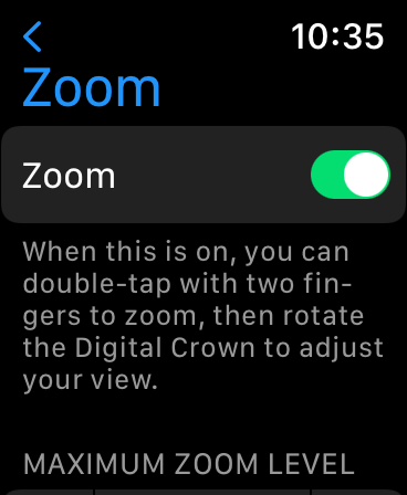 Apple Watch zoom