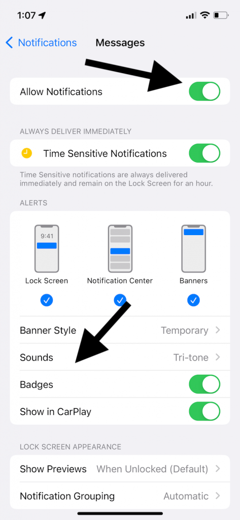 iPhone / iPad Text Sound Notifications Not Working? How to Fix •