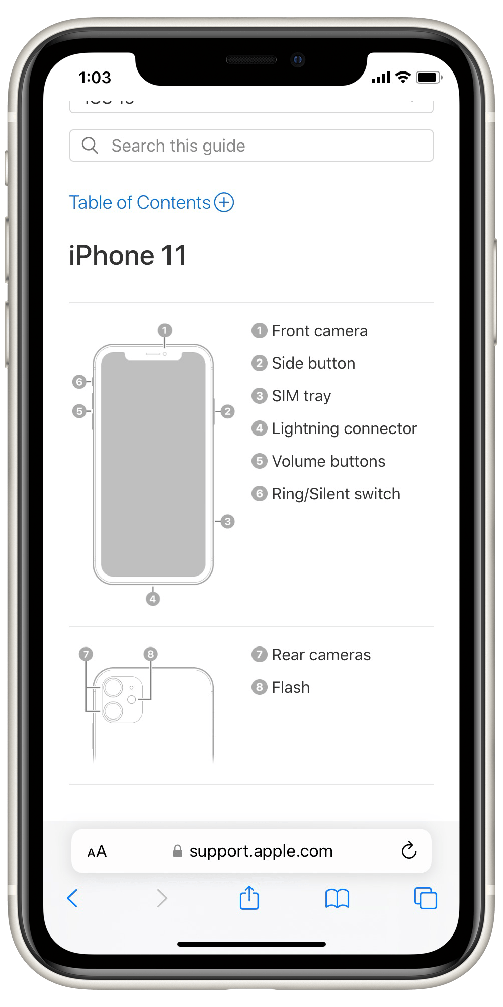 iPhone 11 user guide diagram