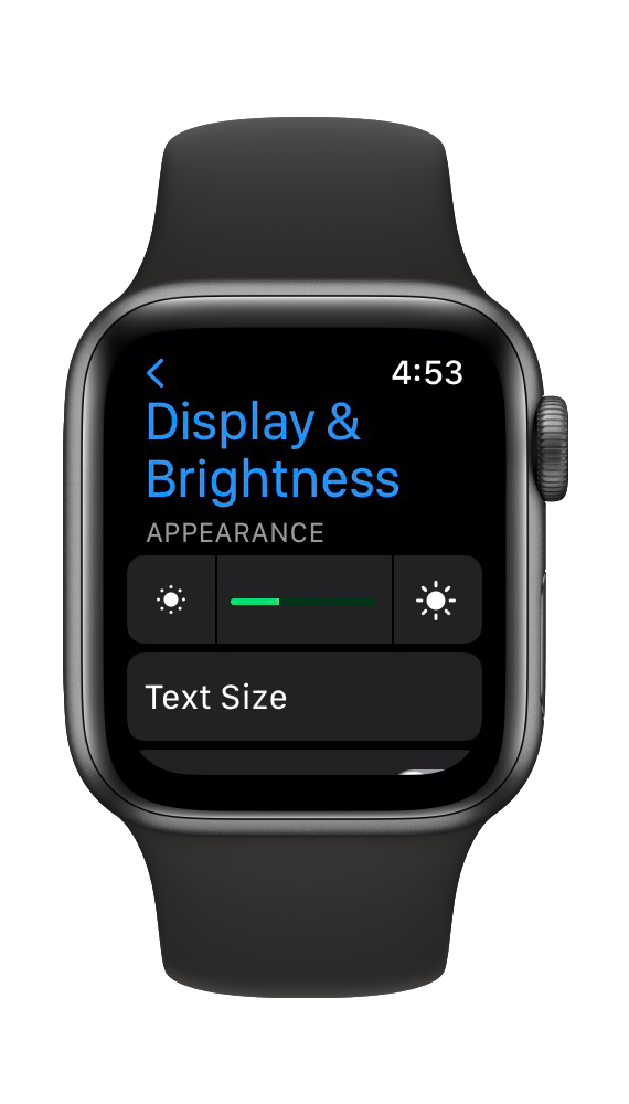Apple Watch brightness