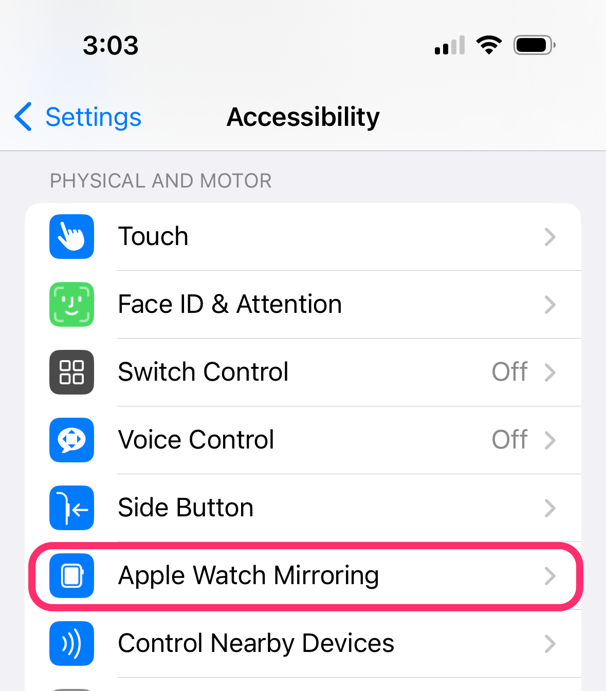 Apple Watch mirroring in accessibility