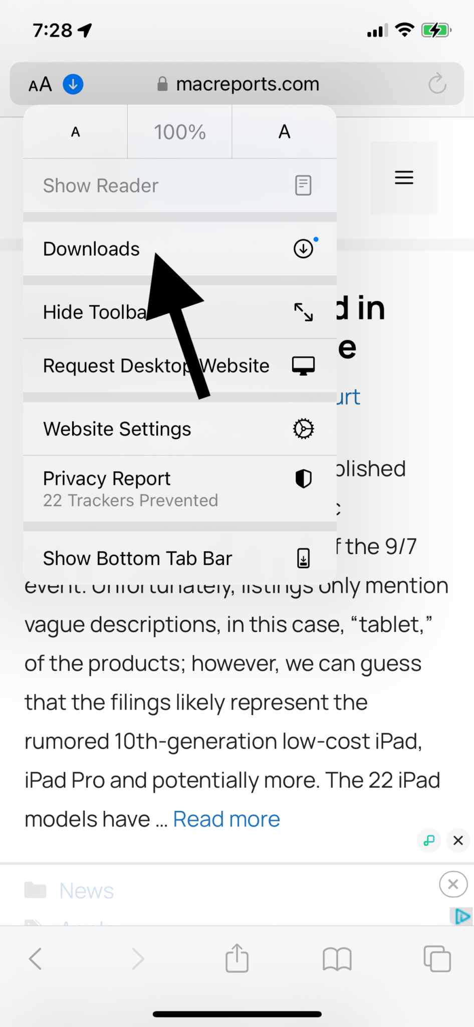 how to view downloads from safari on ipad
