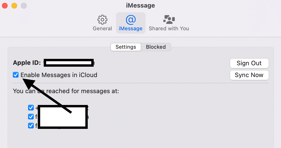 Messages in iCloud on Mac