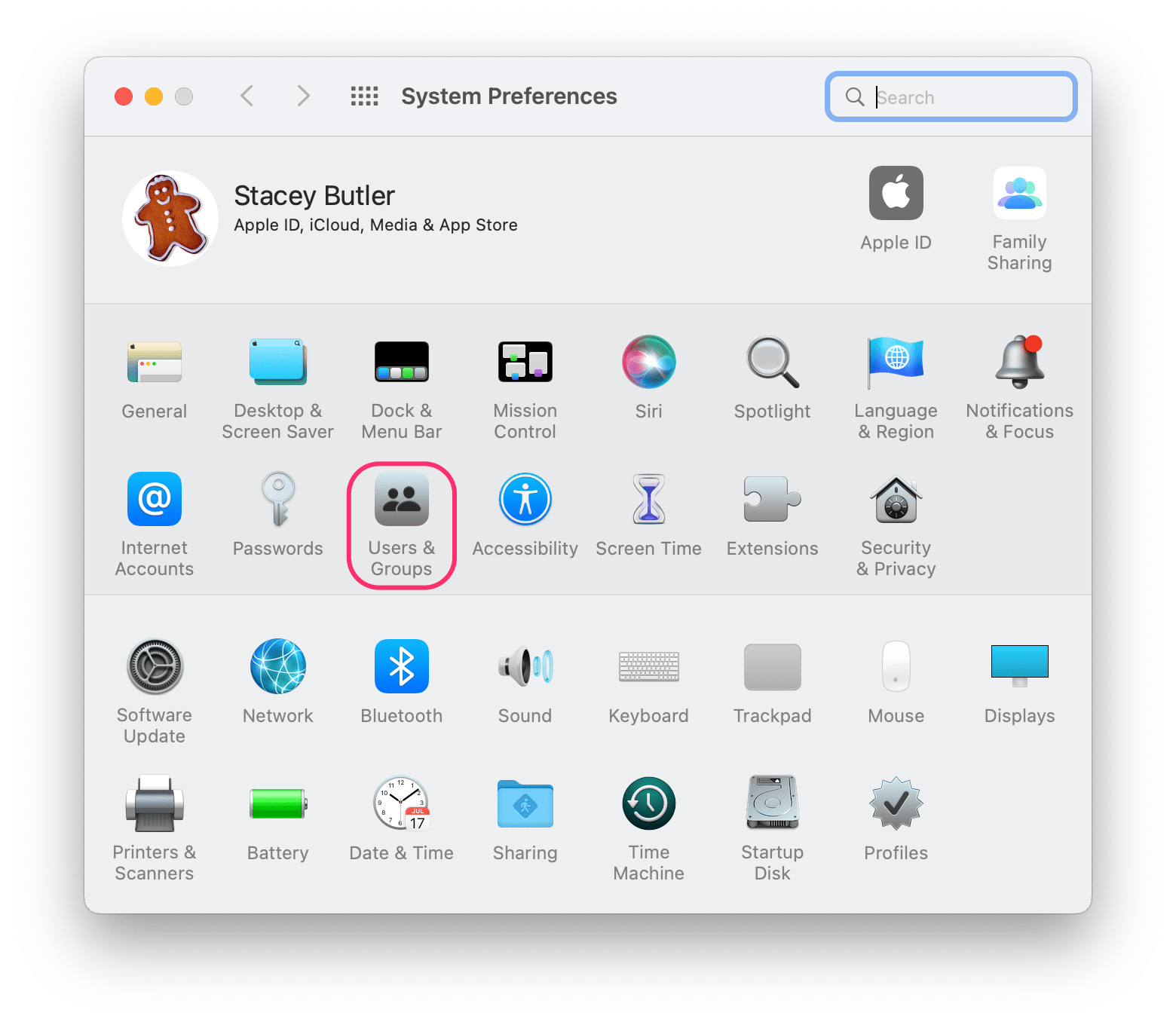 users & groups in system preferences