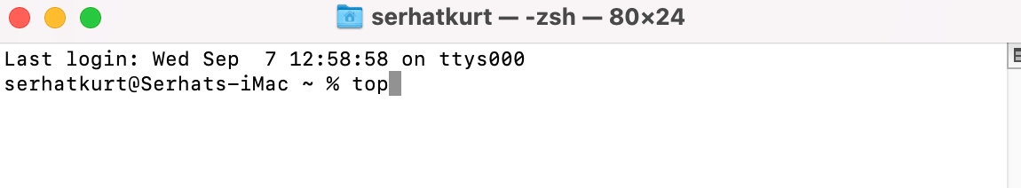 Top command Terminal