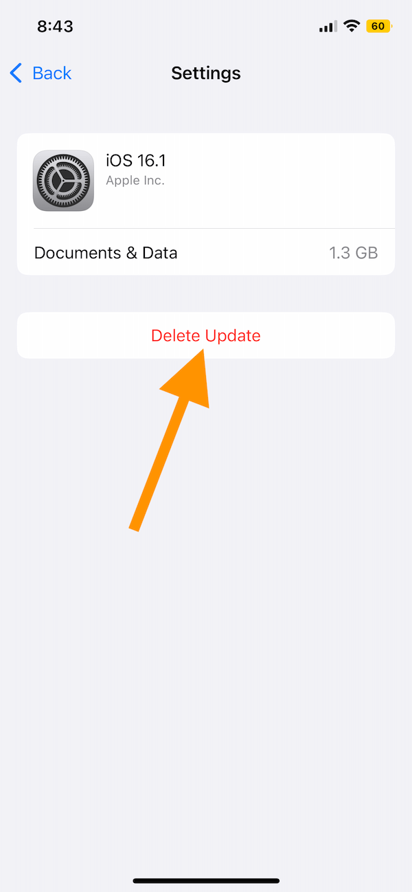 delete the update file from your iPhone