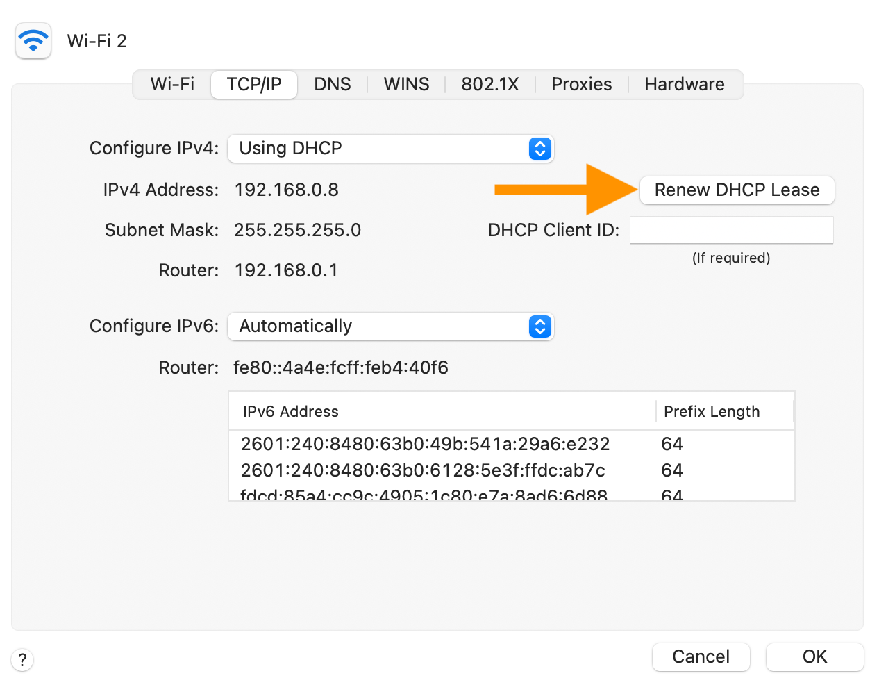 mac says wifi has self assigned ip address