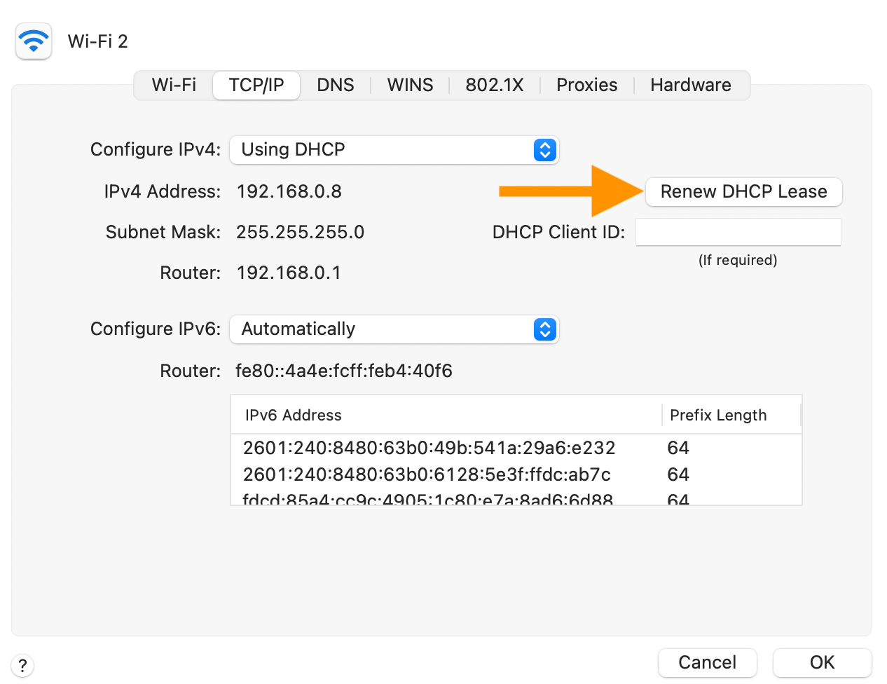 mac self assigned ip cannot connect to internet