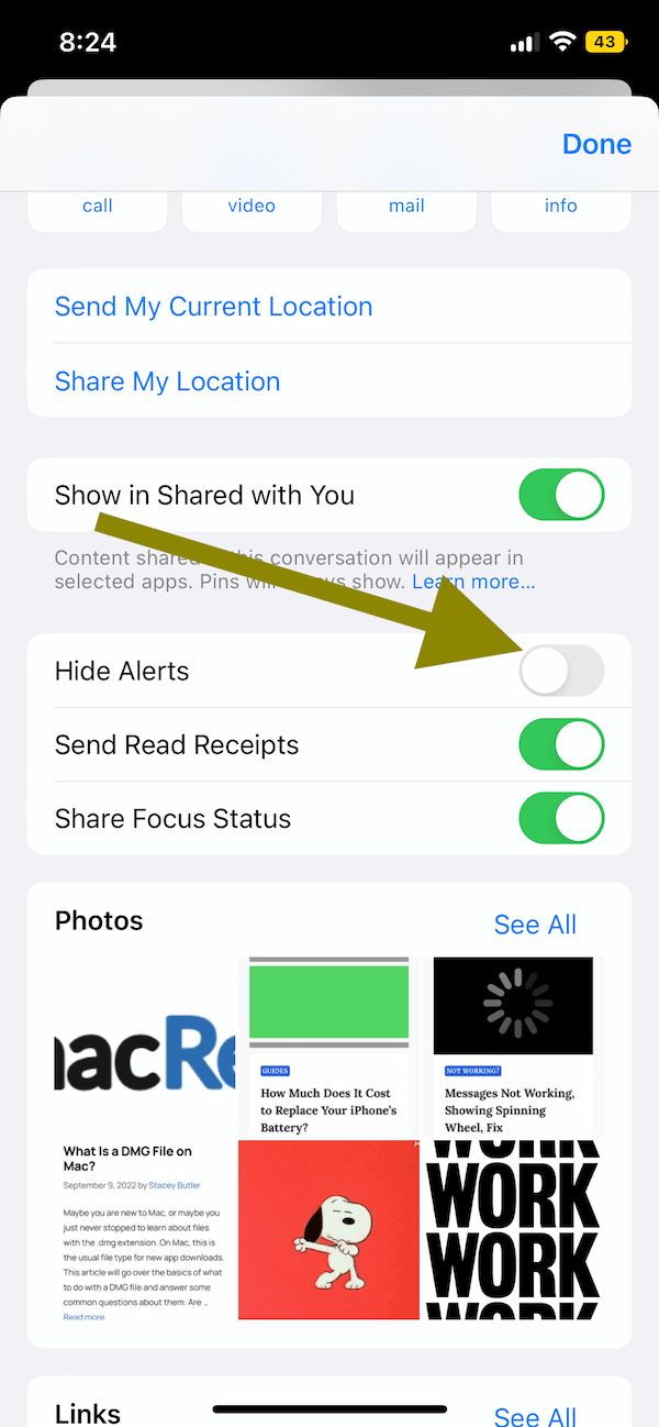 What Does Hide Alerts Mean in Messages? • macReports
