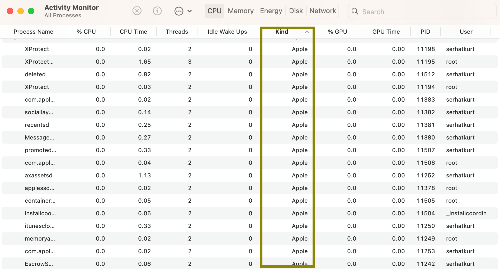 Activity Monitor Kind column