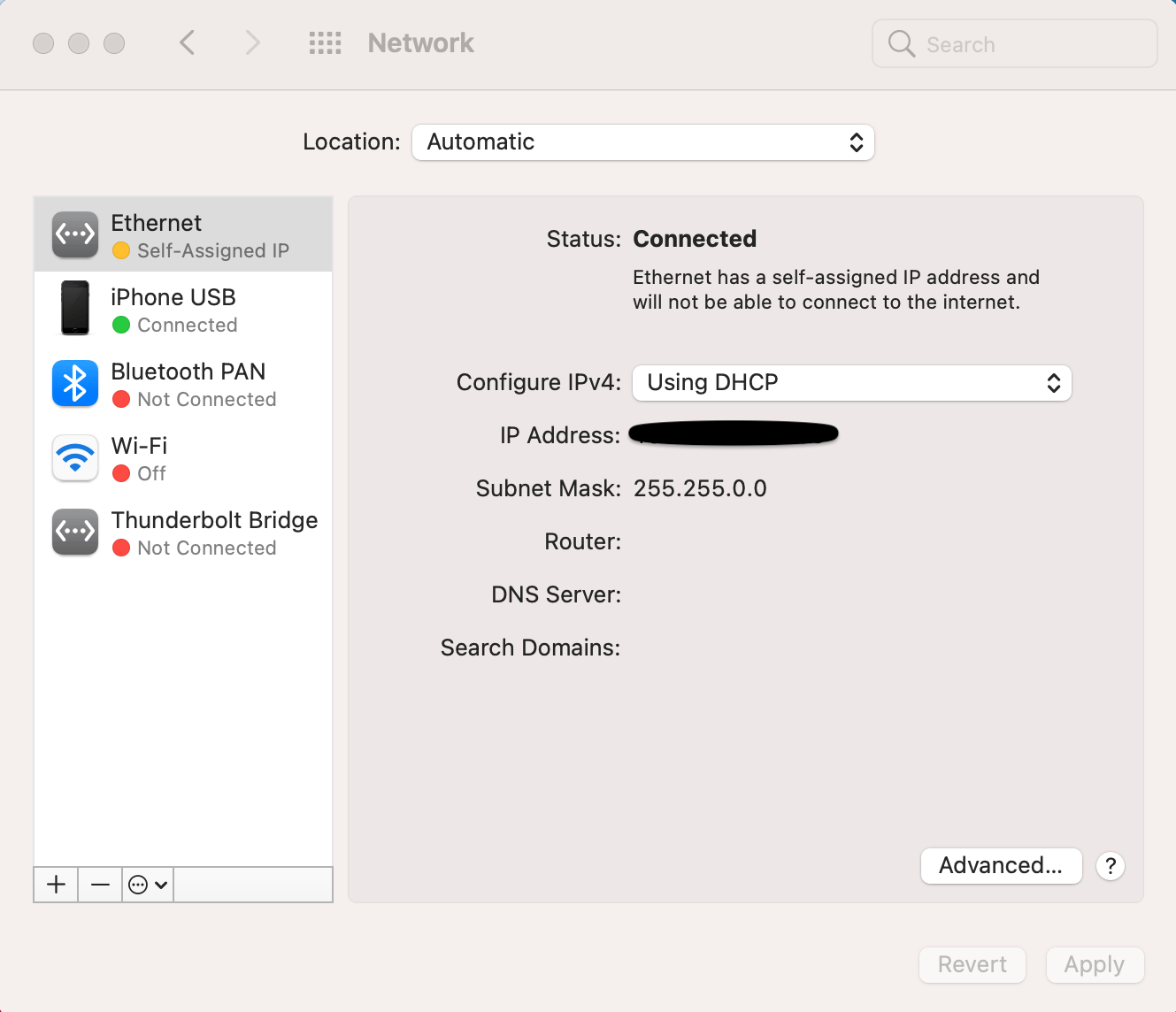 mac mini self assigned ip address