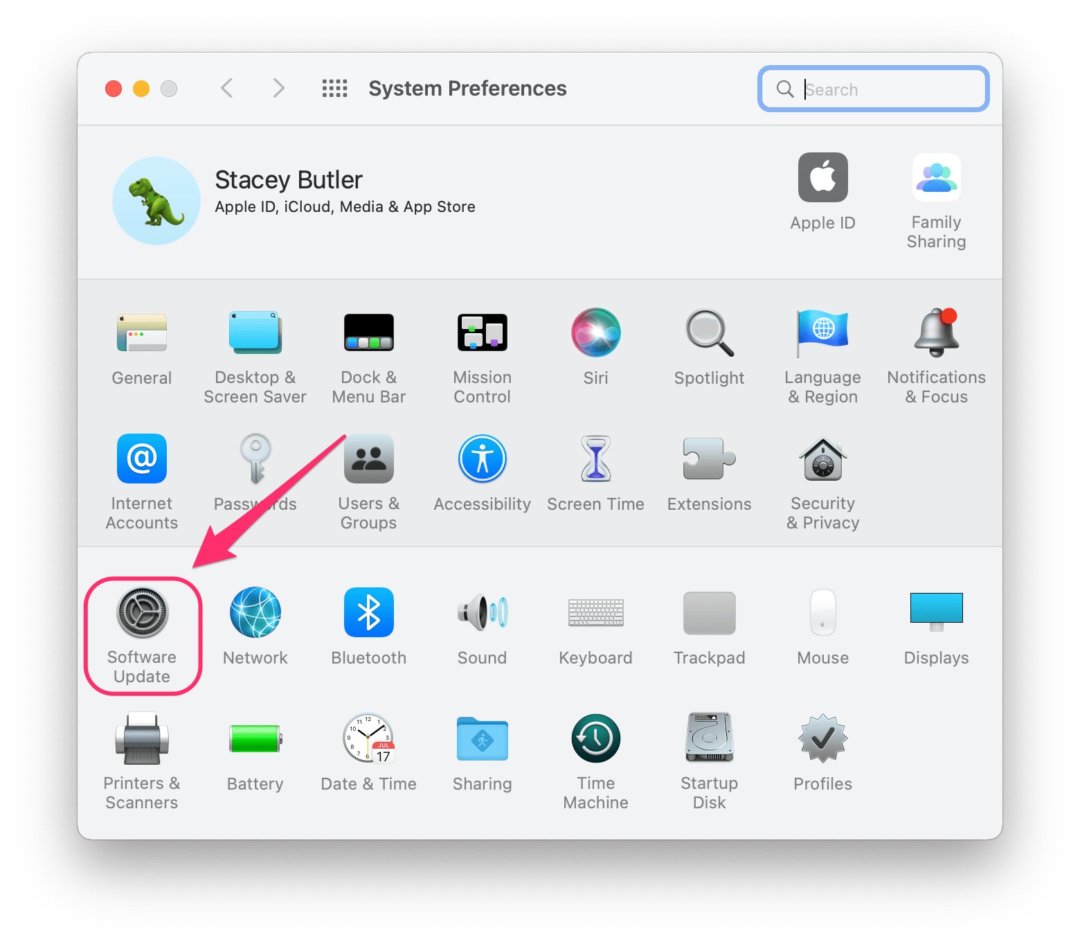 software update in system preferences