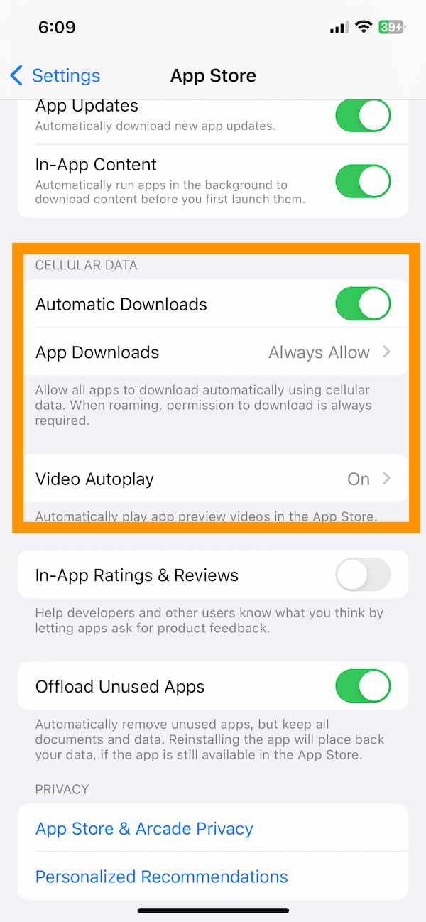 App Store cellular settings