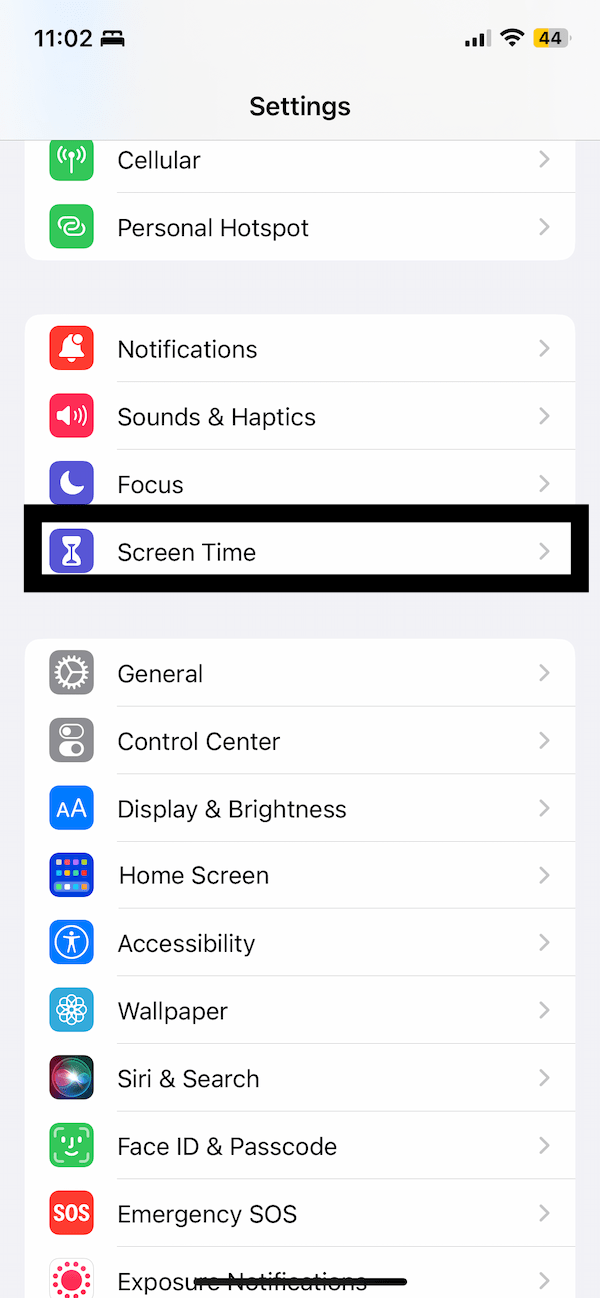 Screen Time in Settings