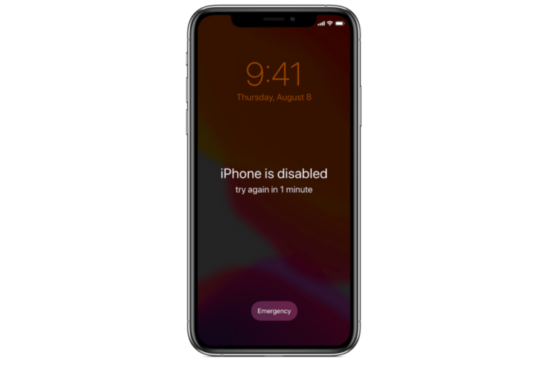 How to Unlock a Disabled iPhone without a Passcode