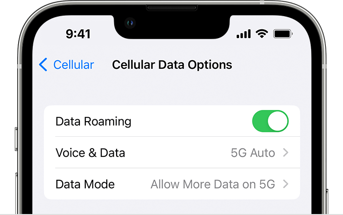 How to Check Your Cellular Data Usage on iPhone and iPad