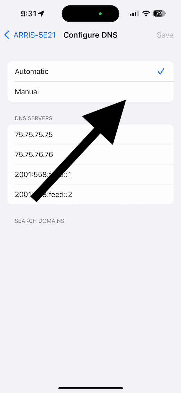 iPhone DNS settings