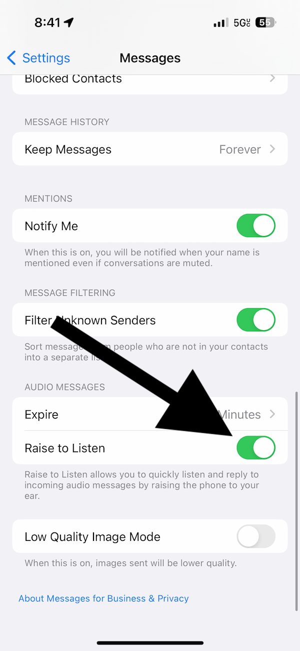 Raise to Listen option in Settings