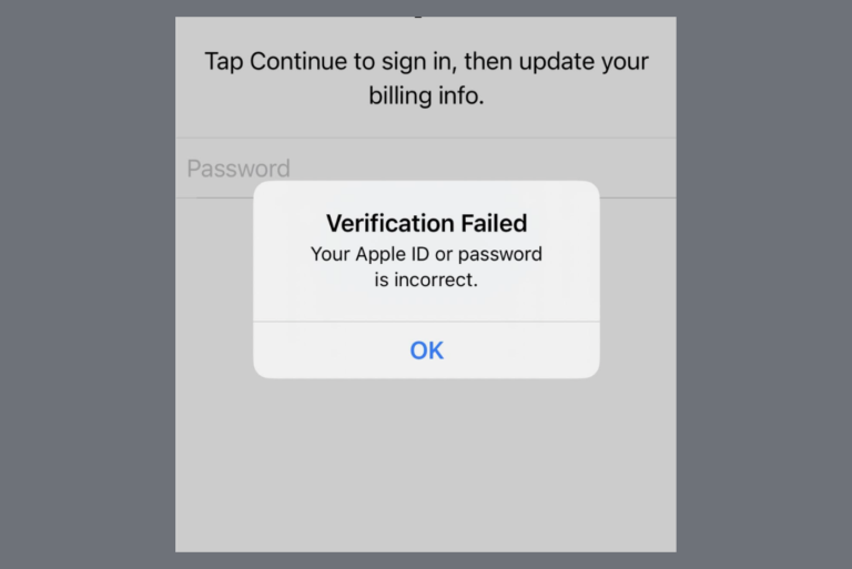 How to Fix ‘Verification Failed, Your Apple ID or Password Is Incorrect’ in iPhone App Store