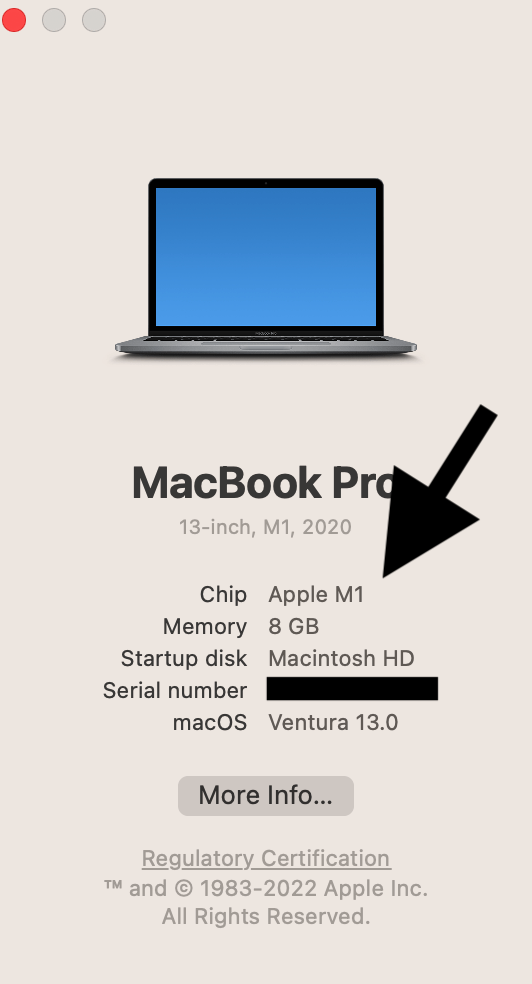 About This Mac screen showing the Apple CPU