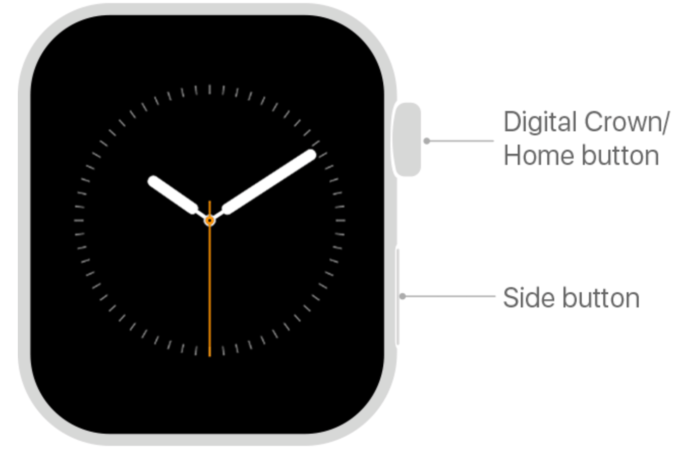 Apple Watch diagram showing side button and digital crown