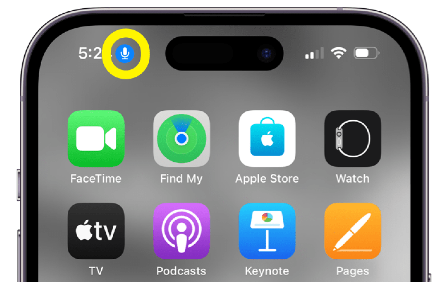 How To Get Rid Of The Blue Microphone Icon At The Top Of Iphone • Macreports