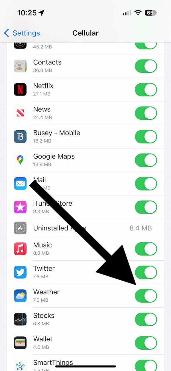 Cellular settings page showing the Weather app