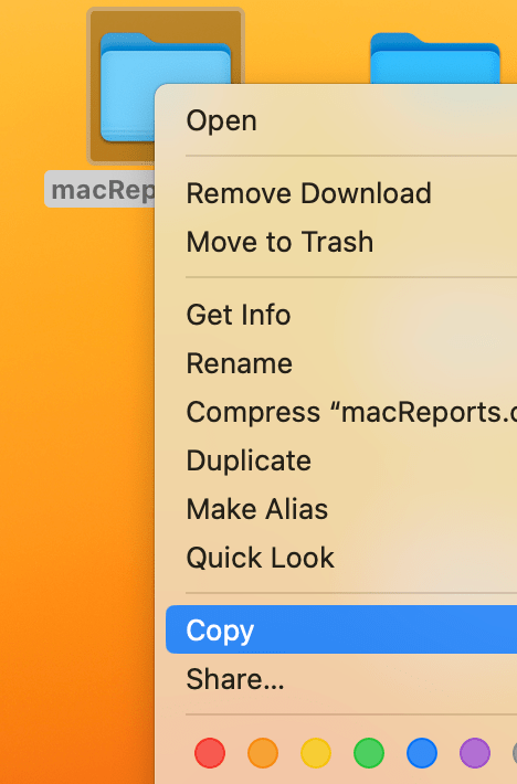 A screenshot showing the Copy option
