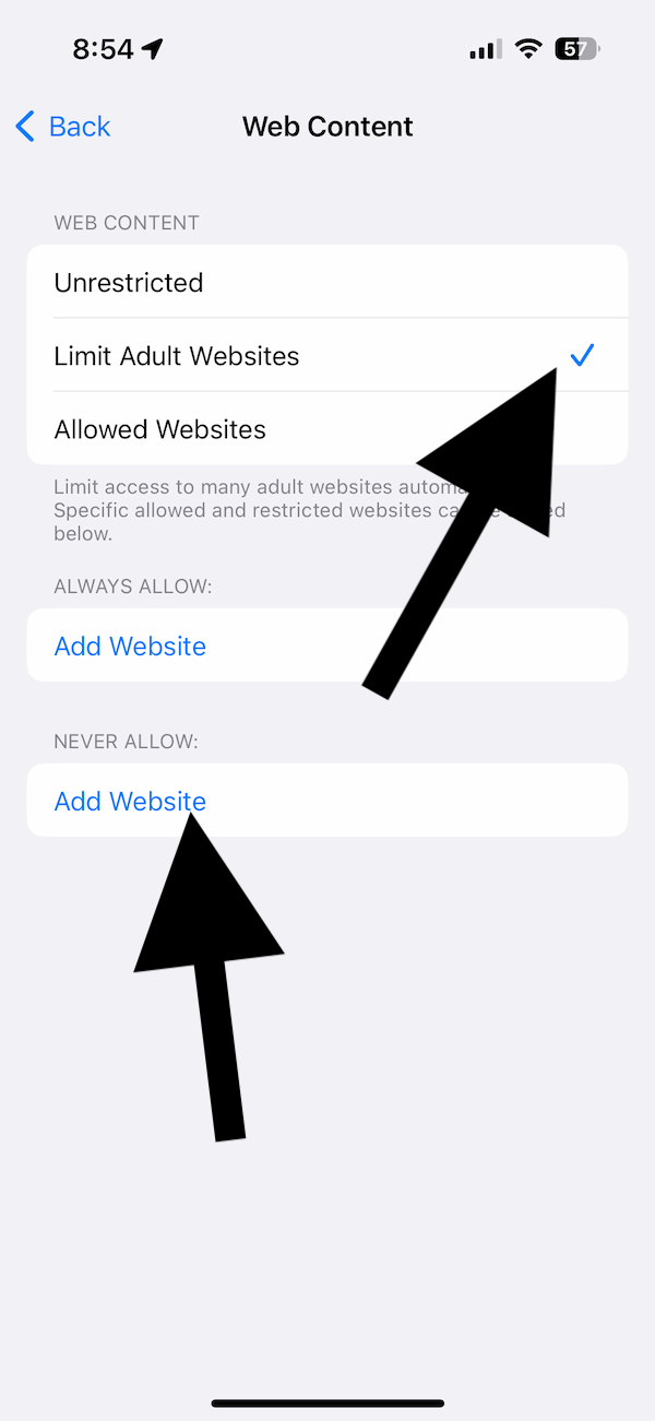 An iPhone setting screen showing the web content restriction
