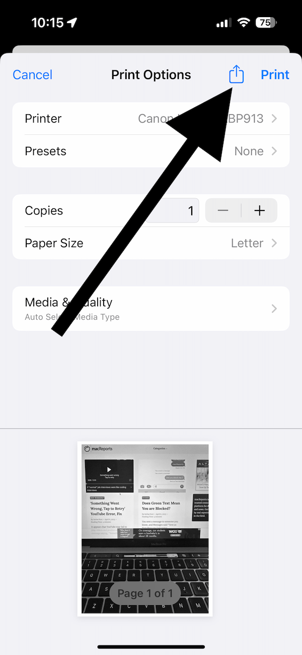 An image showing the Print Options in Photos