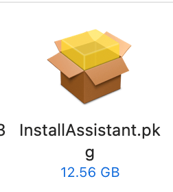 A screenshot of a .pkg file