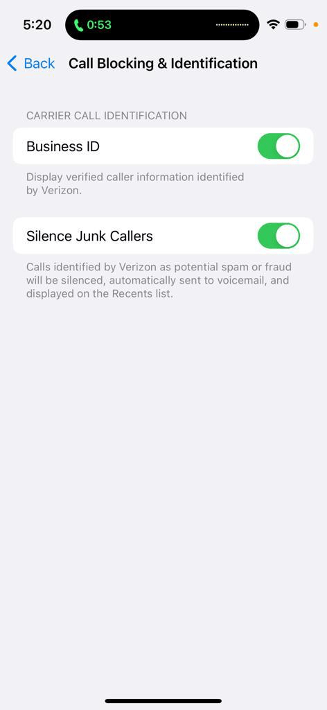 iPhone screen showing the silence junk callers option