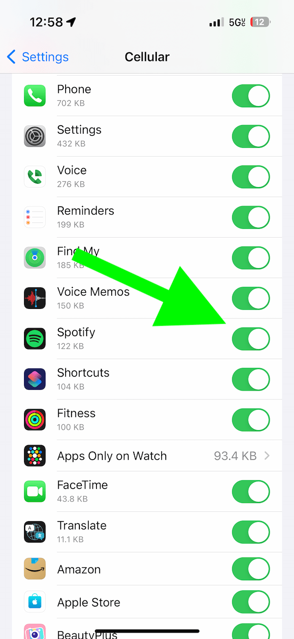 iPhone cellular settings showing the Spotify button