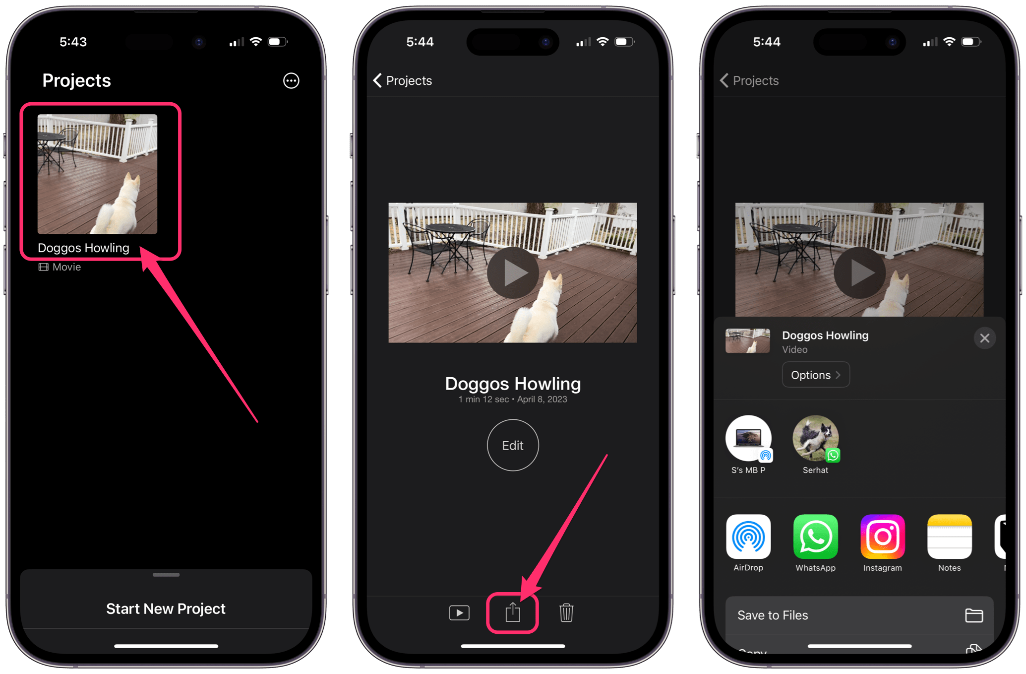 select video in projects, then tap share button