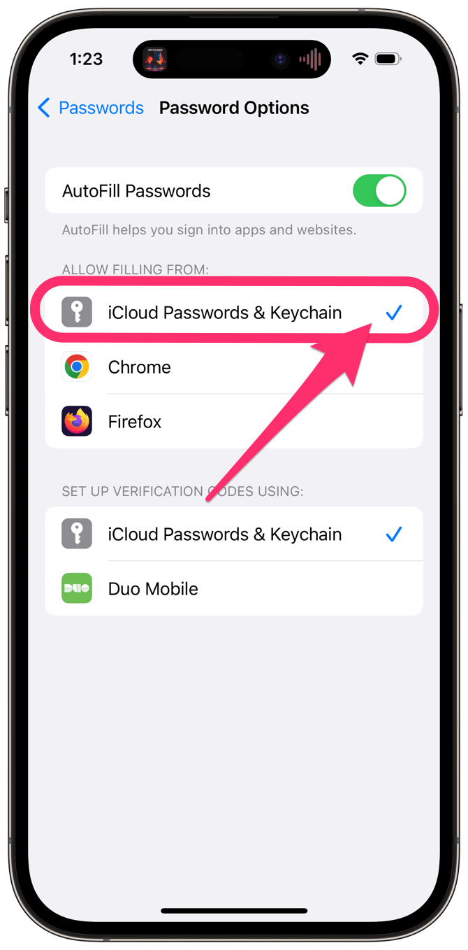allow filling from in passwords settings on iPhone