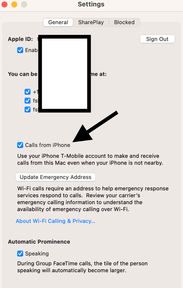 FaceTime Calls from iPhone option