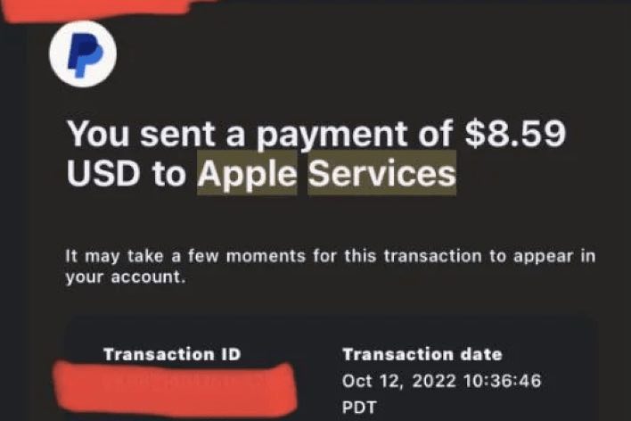 PayPal Apple Services Charge, What Is This?