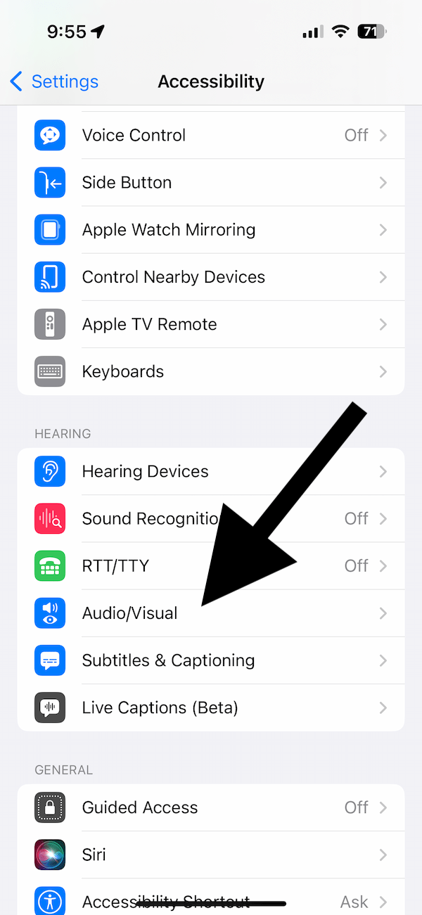 Audio/Visual option in Accessibility 