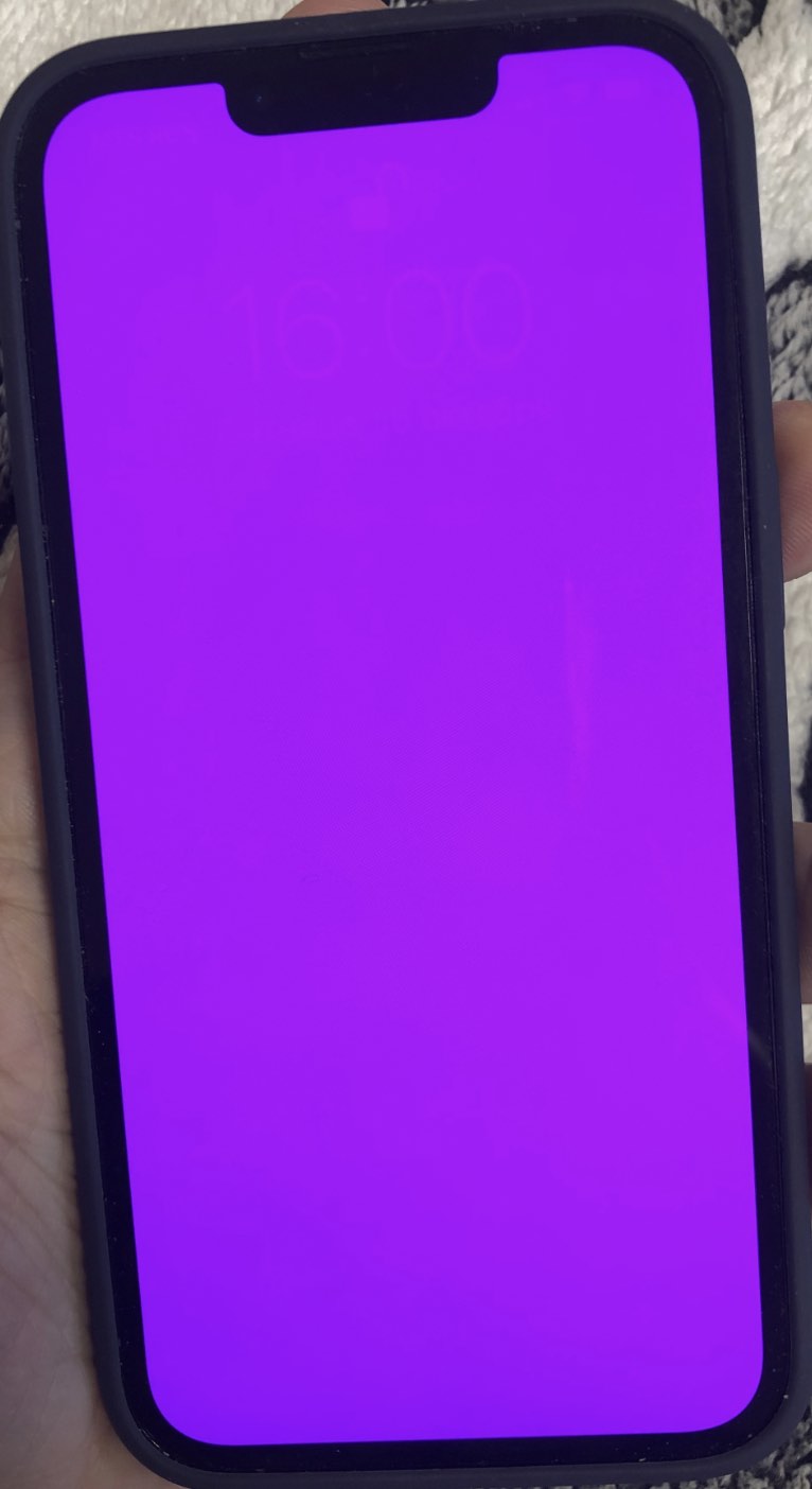 iPhone displaying the pink screen of death