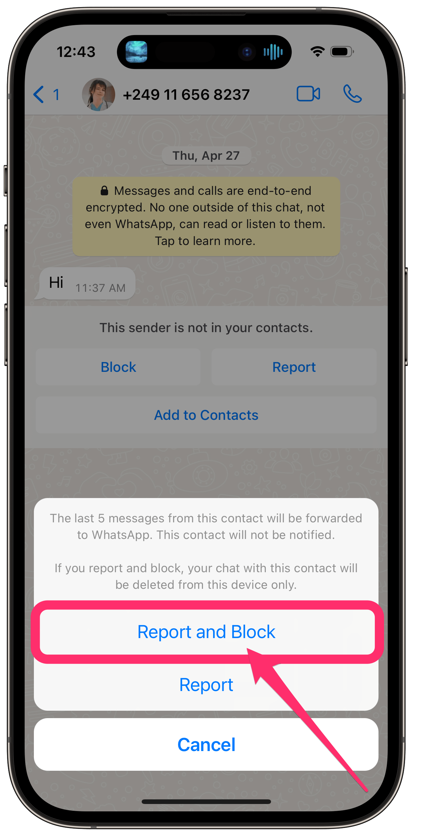 report and block WhatsApp iPhone