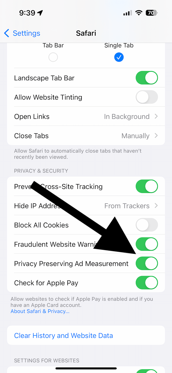 iPhone screen showing the Privacy Preserving Ad Measurement option