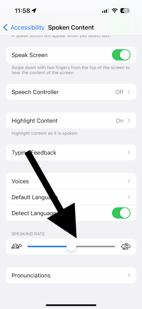 Spoken text speed setting