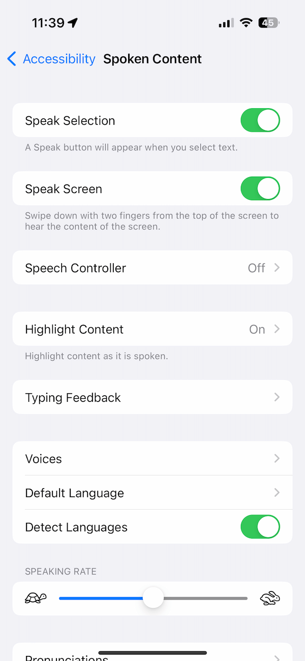 Spoken Content setting screen