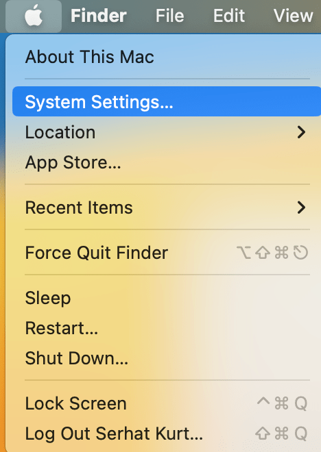 Apple menu and System Settings menu