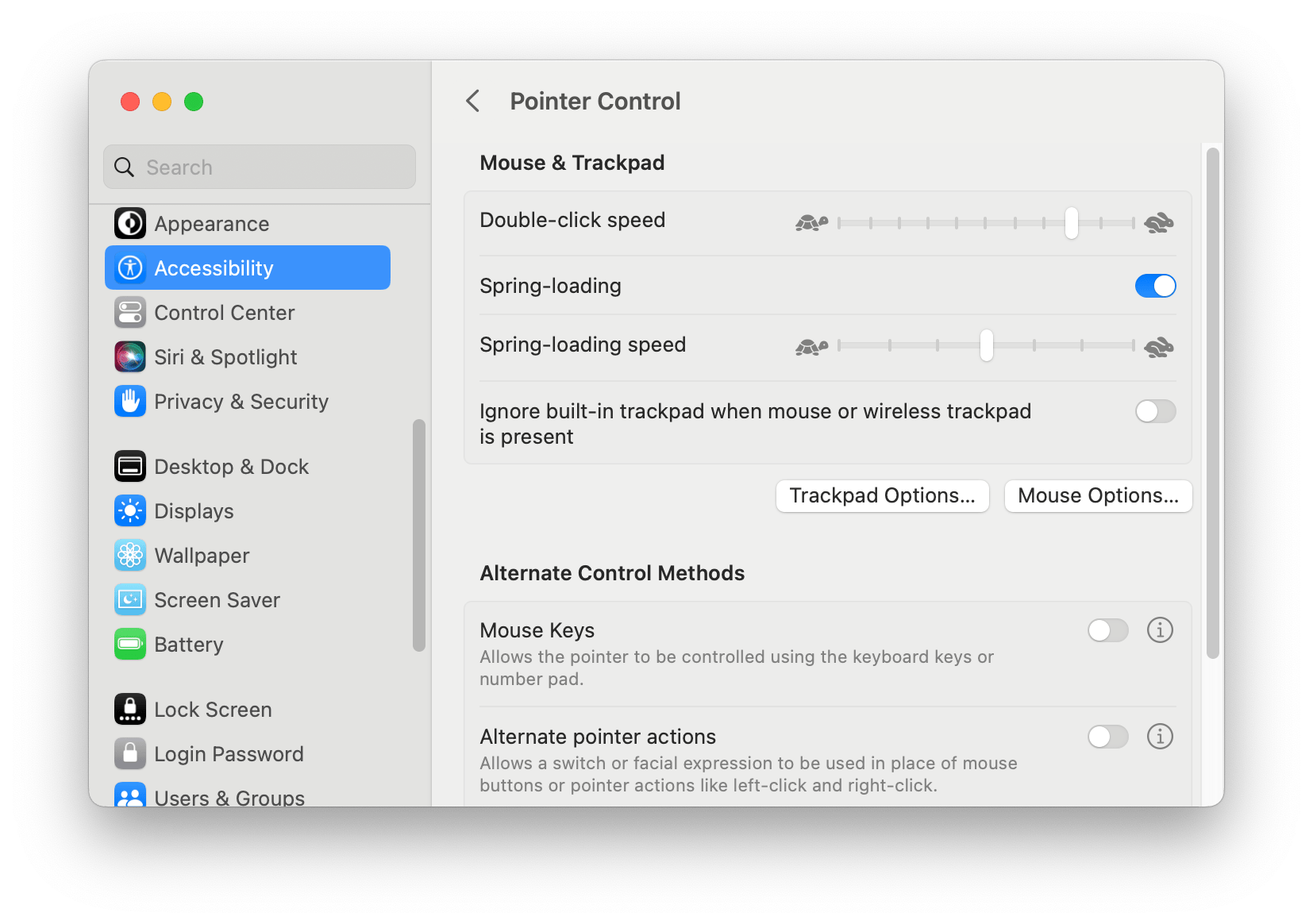 pointer control setting sin accessibility on Mac