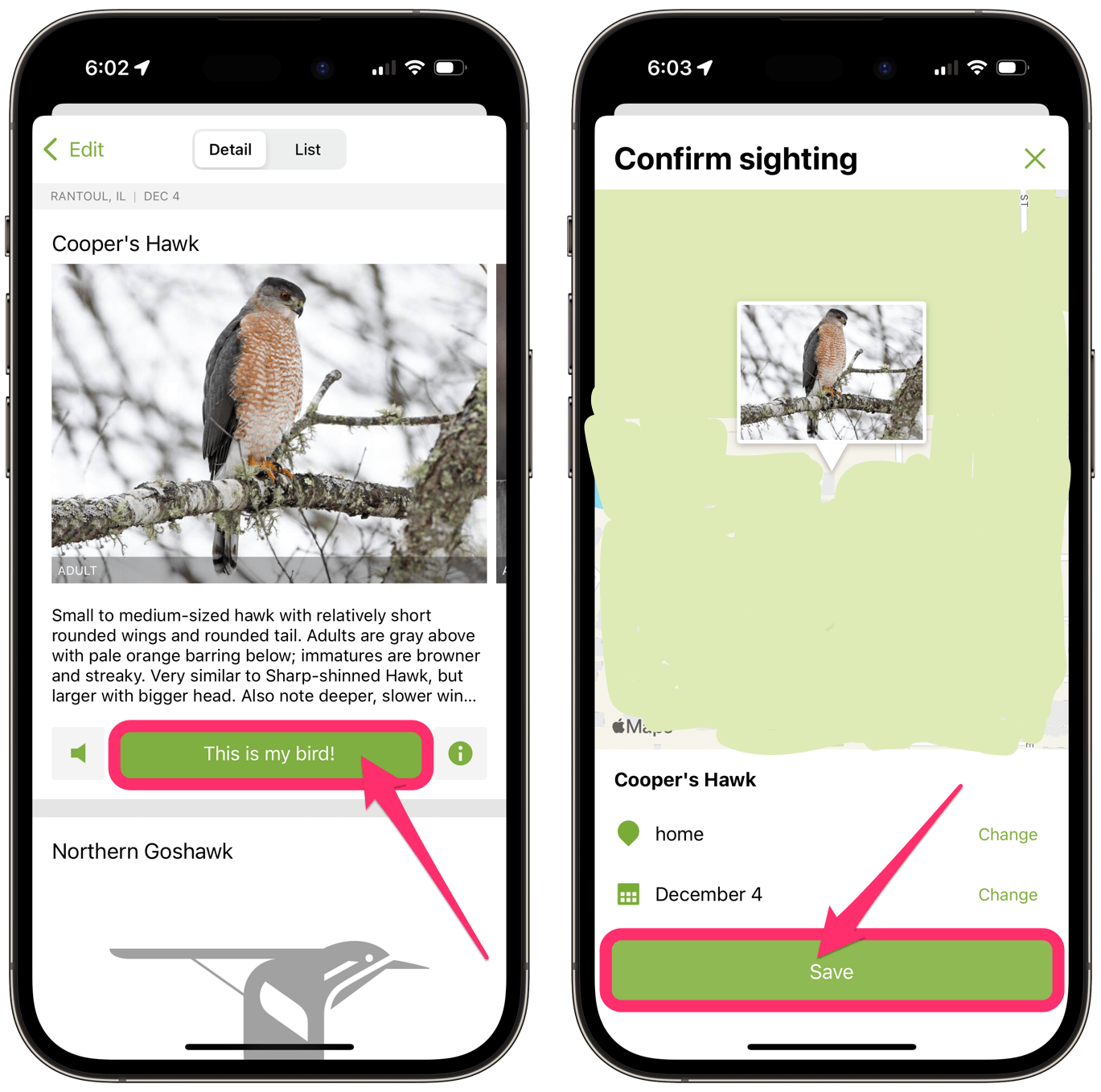identify and save bird sighting from photo app on iPhone
