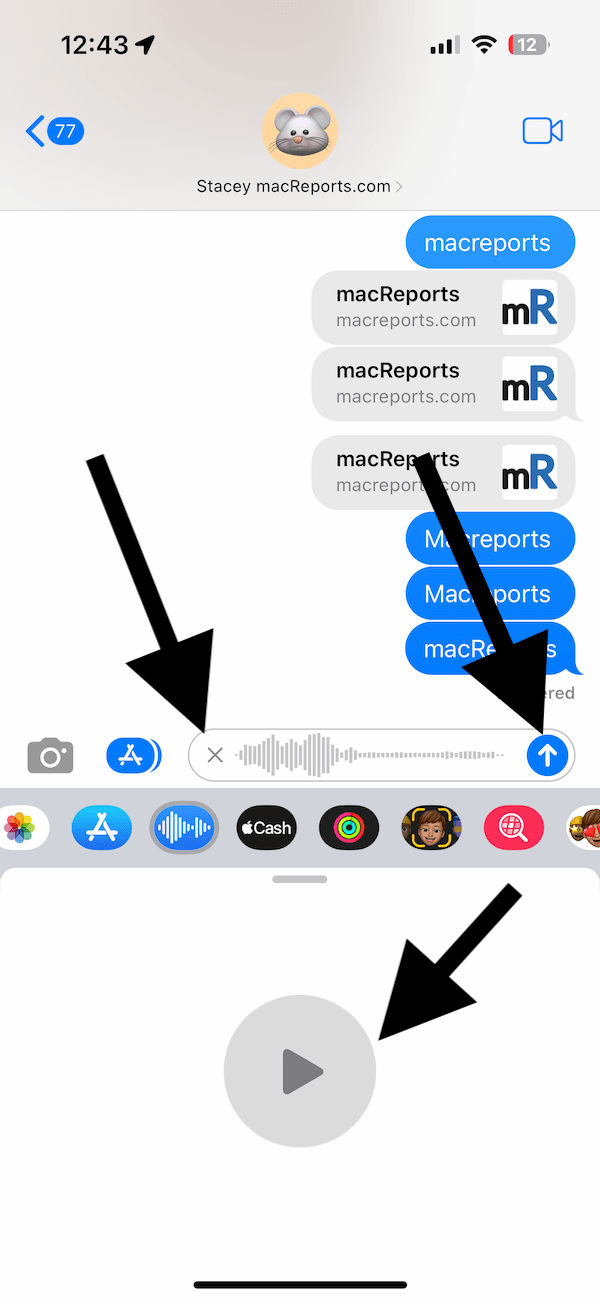 Audio option buttons in the Messages app 