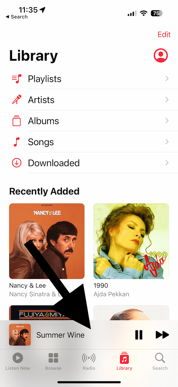 Apple Music screen showing the songs being played