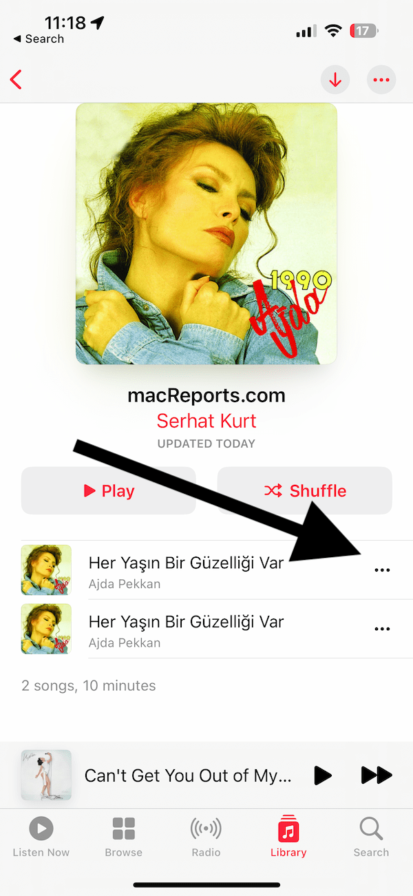 Apple Music screenshot showing Playlists